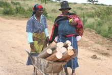 women_with_firewood.jpg