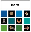 Index Thumbnail
