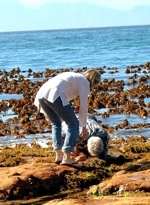 Rocky shores