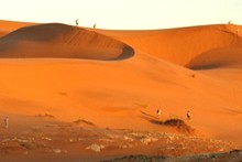 delegates_namibia_dune.jpg