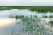 Everglades National Park