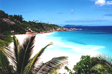 seychelles_beach.jpg