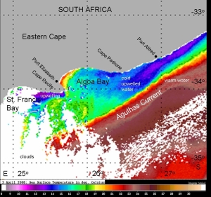 Algoa Bay_SST_03042008.JPG