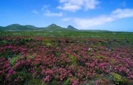 cape-peninsula-landscape.jpg