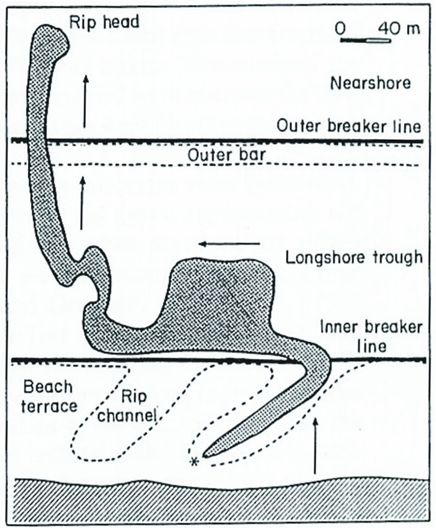 fig0103.jpg