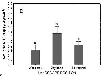 Fig0804d.jpg