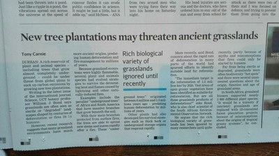 New tree plantations may threaten ancient grasslands